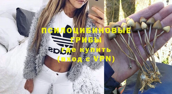 PSILOCYBIN Алексин