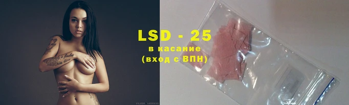 PSILOCYBIN Алексин