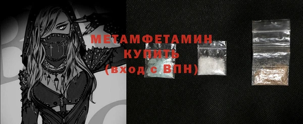прущие грибы Пестово